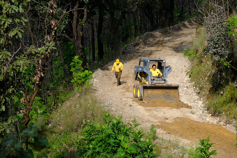 Realizan acciones de restauración de suelos y prevención de incendios forestales