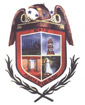 Escudo de Acatic