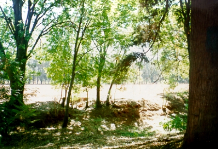  Fotografía - Flora y Fauna