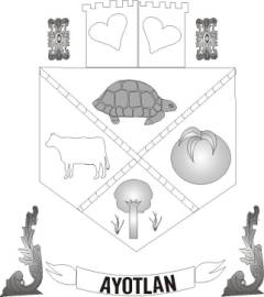 Escudo de Armas Municipal