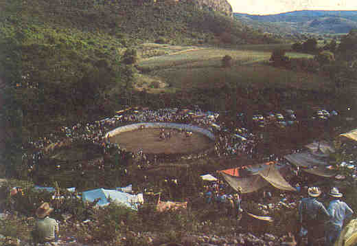  Fotografía - Fiestas y tradiciones