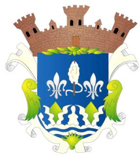 Escudo de Armas Municipal