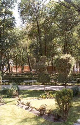  Fotografía - Flora y Fauna