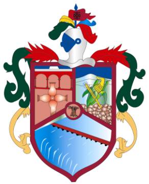 Escudo de Armas Municipal