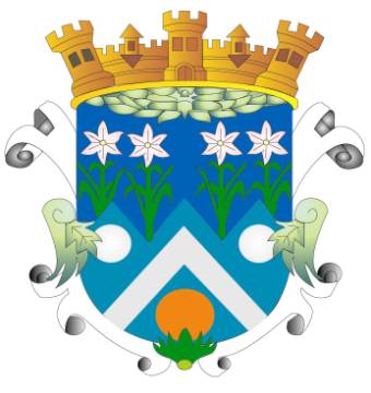Escudo de Armas Municipal