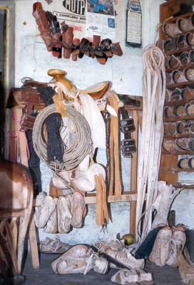 Fotografía - monumentos históricos