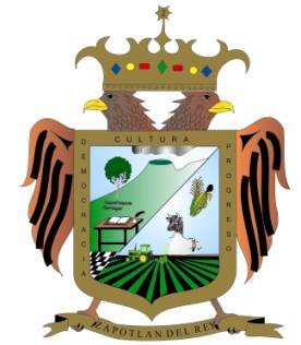 Escudo de Armas del Municipio de Zapotlán del Rey