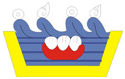 Escudo de Autlán de Navarro
