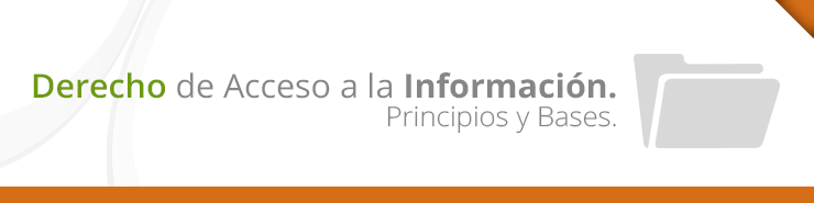 Derecho de Acceso a la Información. Principios y Bases.