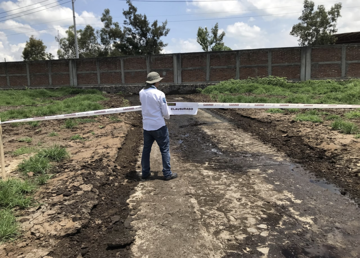 Clausura Proepa granja de bovinos en San Martín Hidalgo por incumplimiento a normas ambientales vigentes  