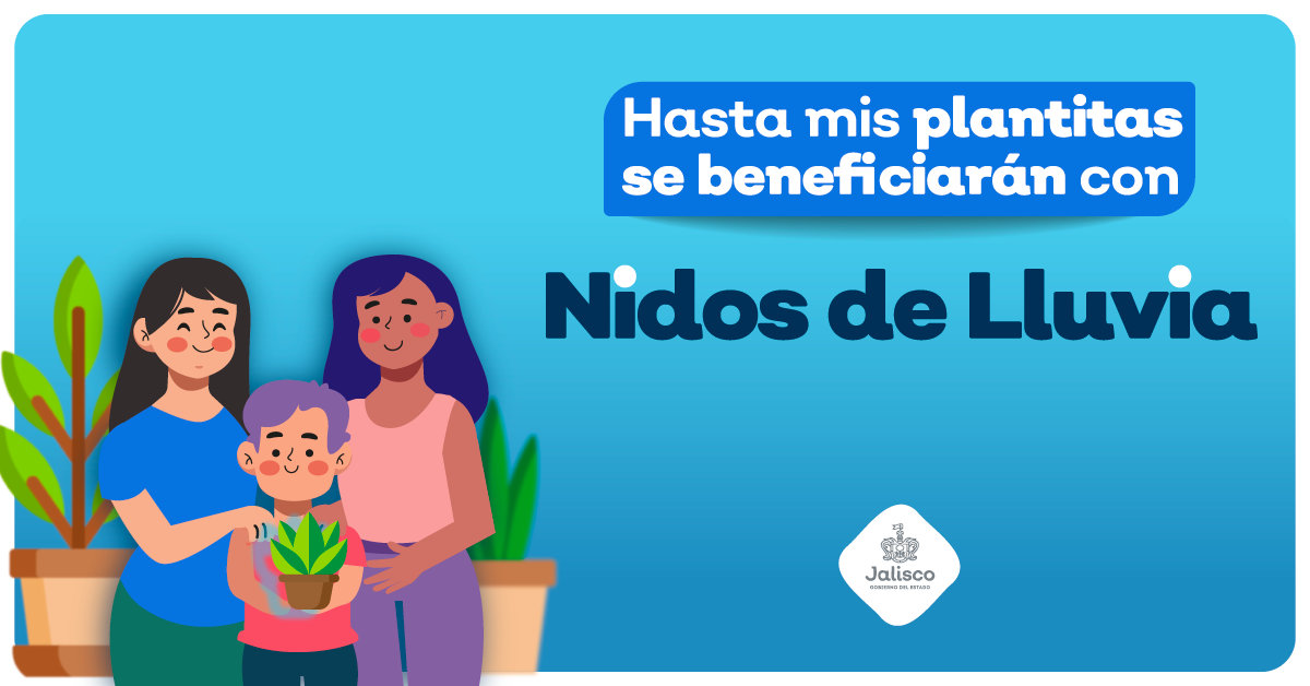 “Hasta mis plantitas van a ser beneficiadas con los Nidos de Lluvia” 