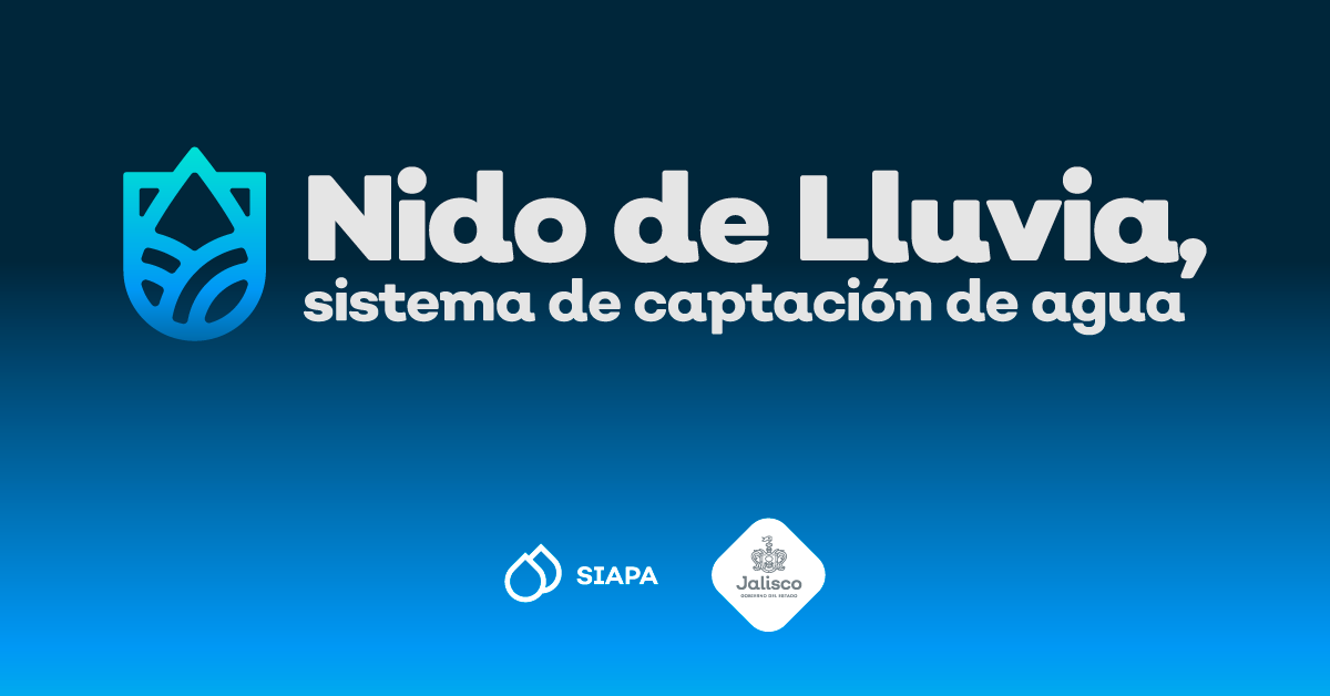 Nido de Lluvia, una nueva forma de abastecimiento de agua en Jalisco