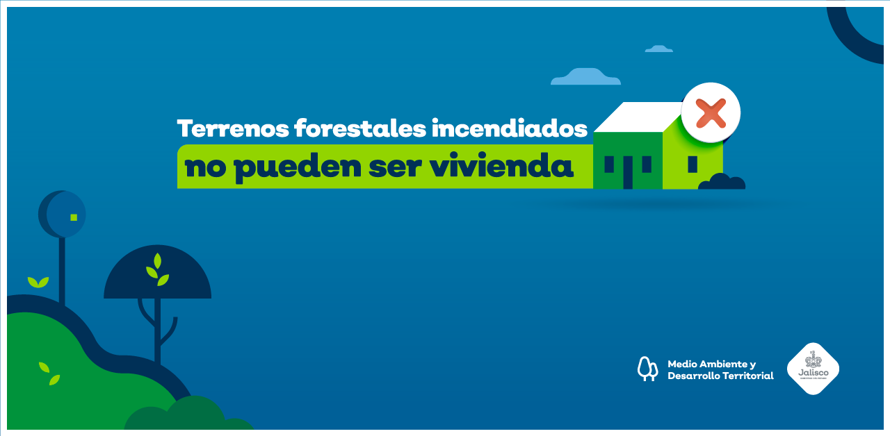 ¿Por qué los terrenos forestales que sufren incendios no pueden ser usados para vivienda?