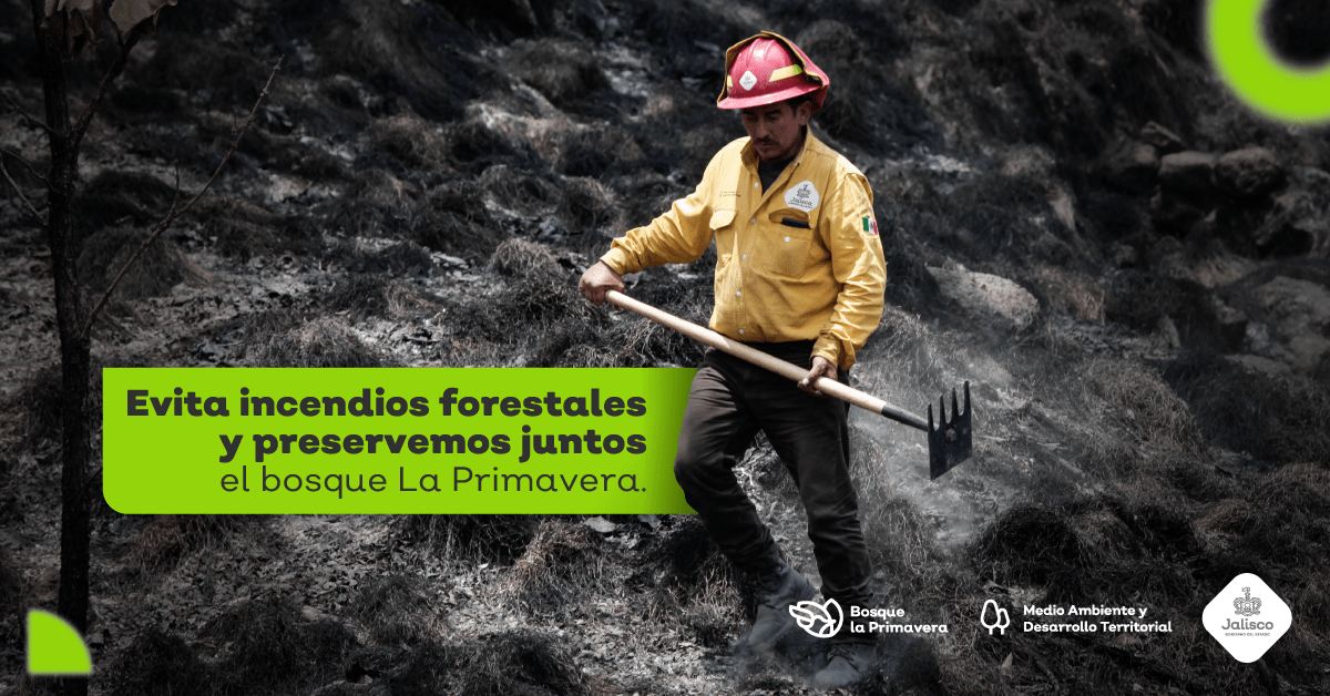  Ayúdanos a prevenir: cuidemos los bosques de los incendios forestales