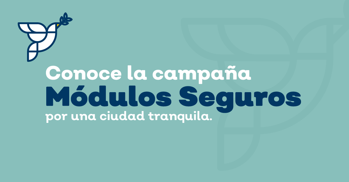 En marcha la campaña Módulo Seguro, por una ciudad tranquila