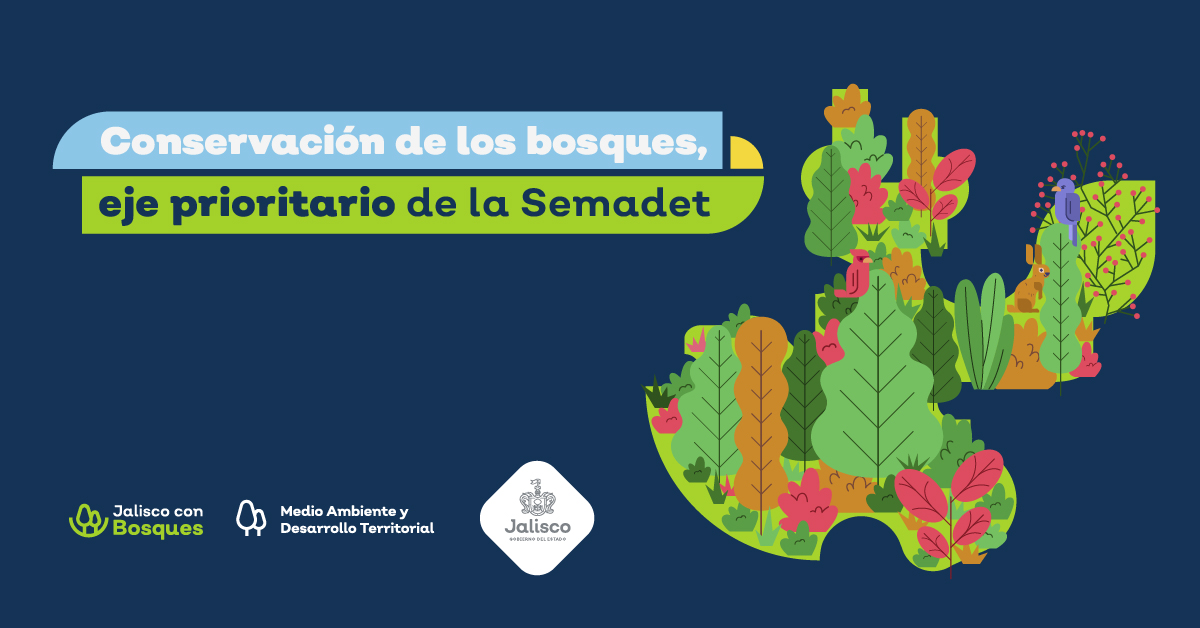 Los bosques de Jalisco, herramientas para combatir el cambio climático