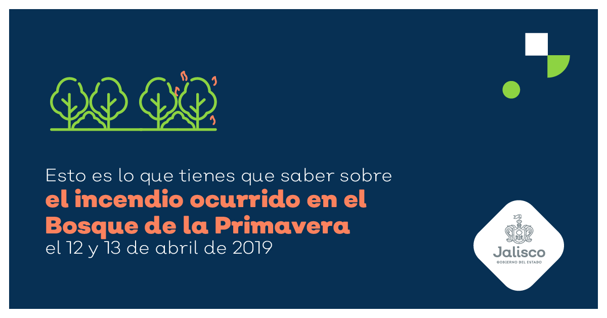 Esto es lo que tienes que saber sobre el incendio ocurrido en el bosque de la Primavera el 12 y 13 de abril de 2019