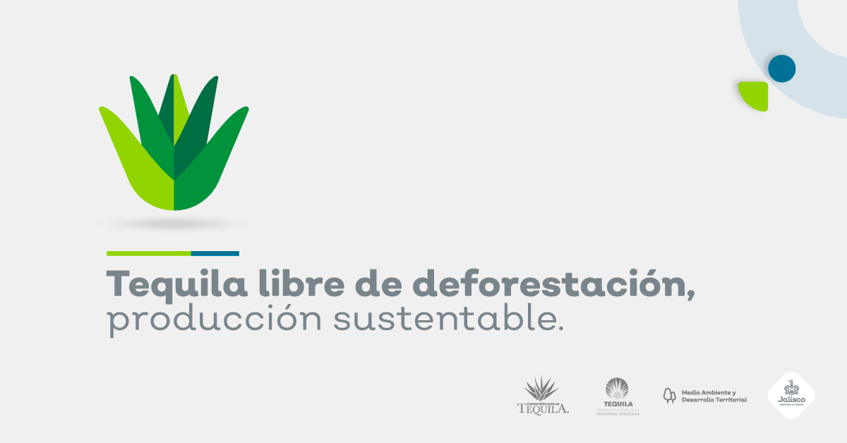 Tequila libre de deforestación acciones ante el cambio climático