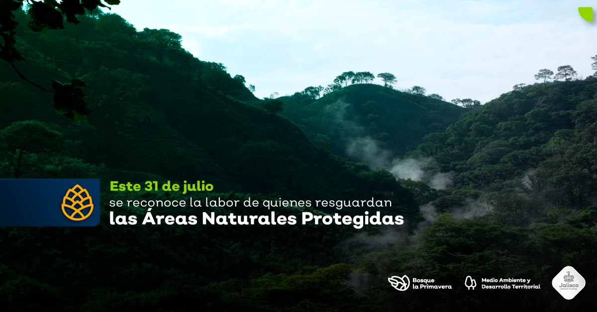 Conoce a Iván y a Ramón, guardabosques del Área Natural Protegida Bosque La Primavera 