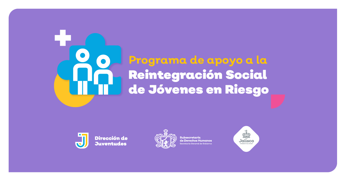 PROGRAMA  DE  “APOYO A LA REINTEGRACIÓN SOCIAL DE JÓVENES EN RIESGO”