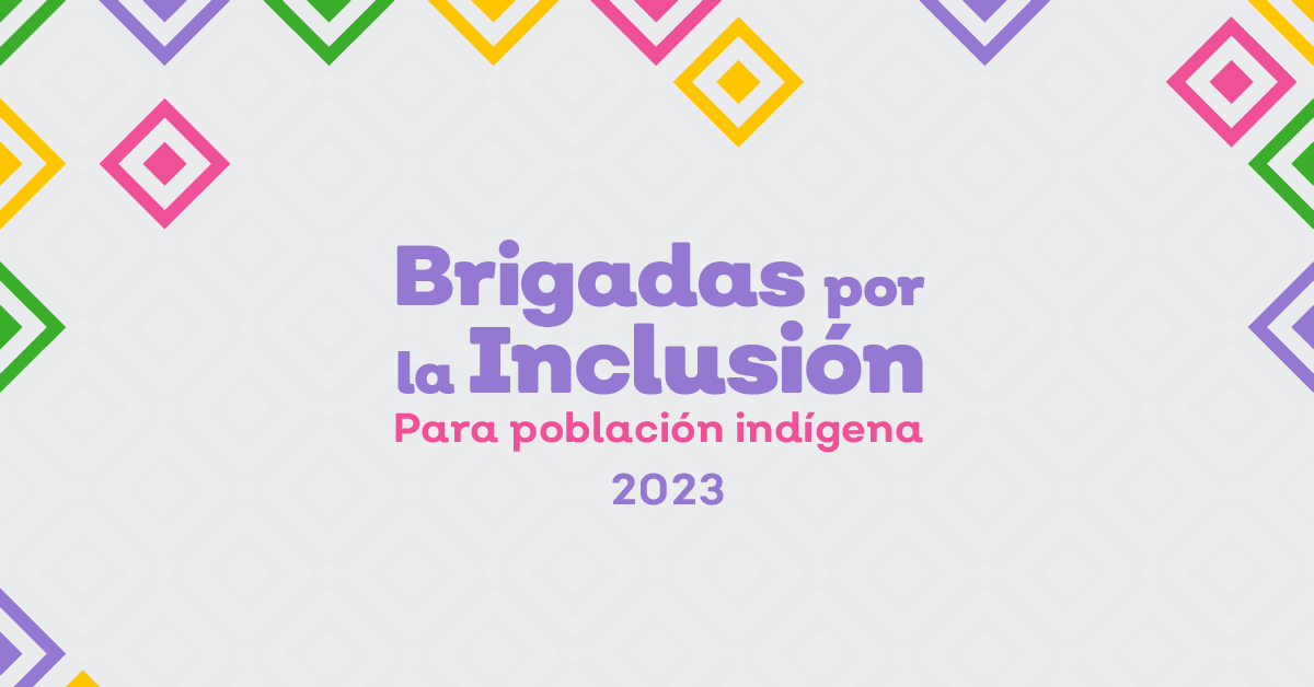 Las Brigadas por la inclusión se fortalecen en el 2023