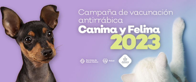 Campaña de Vacunación Antirrábica Canina y Felina en Jalisco 