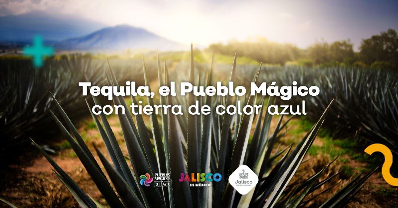 Tequila, el Pueblo Mágico con tierra de color azul