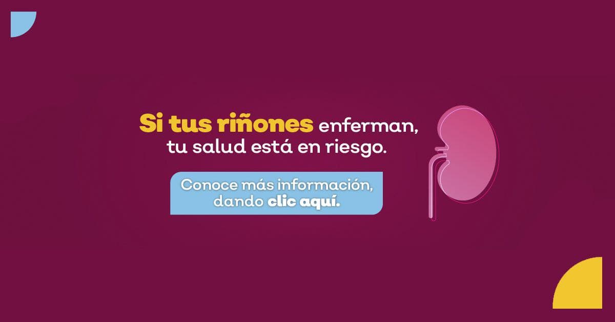 Día Mundial del Riñón 2022