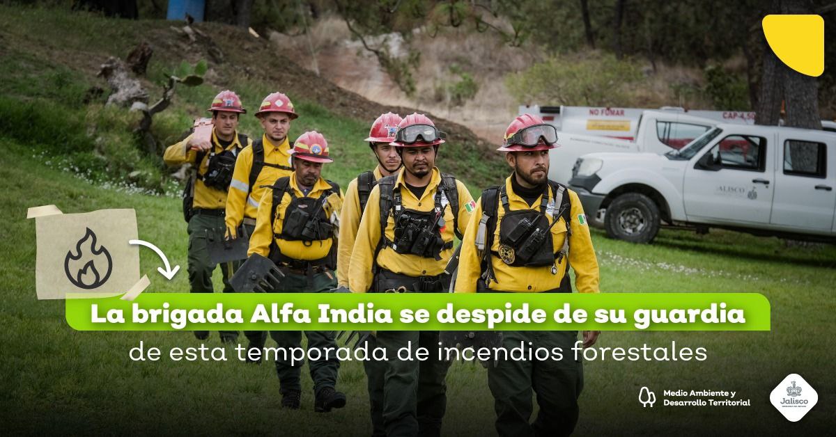 Combatientes forestales, una profesión heroica que protege los bosques y selvas de Jalisco