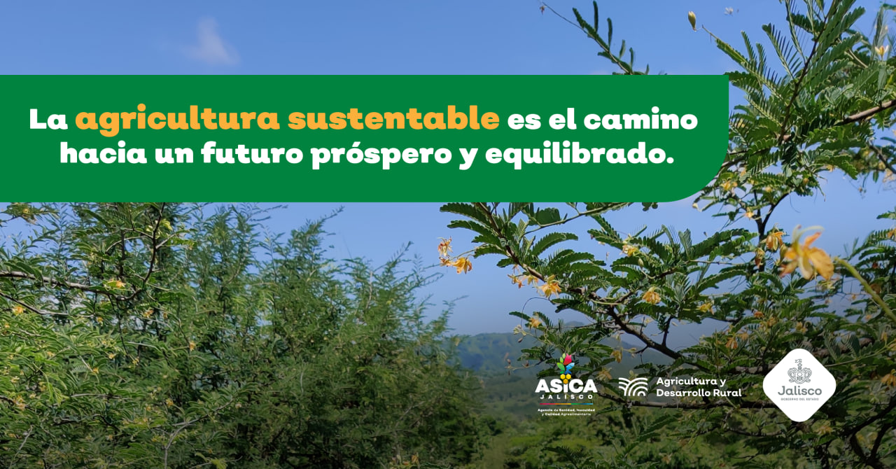 Biofertilizantes: Insumos para el campo de Jalisco y el desarrollo sostenible