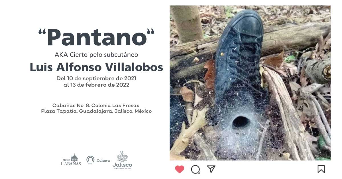 “Pantano” la exposición que llega a Museo Cabañas en septiembre