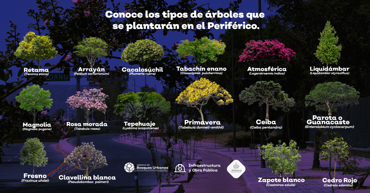 Un Periférico más amigable con el medio ambiente