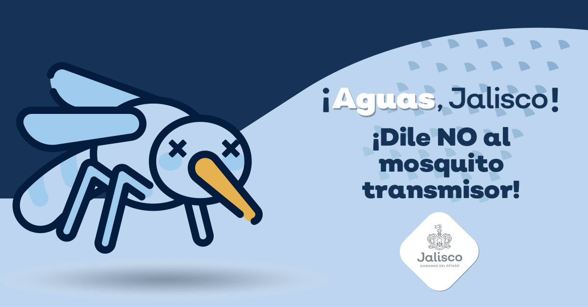 Todo lo que debes saber para combatir el dengue, chikungunya y zika