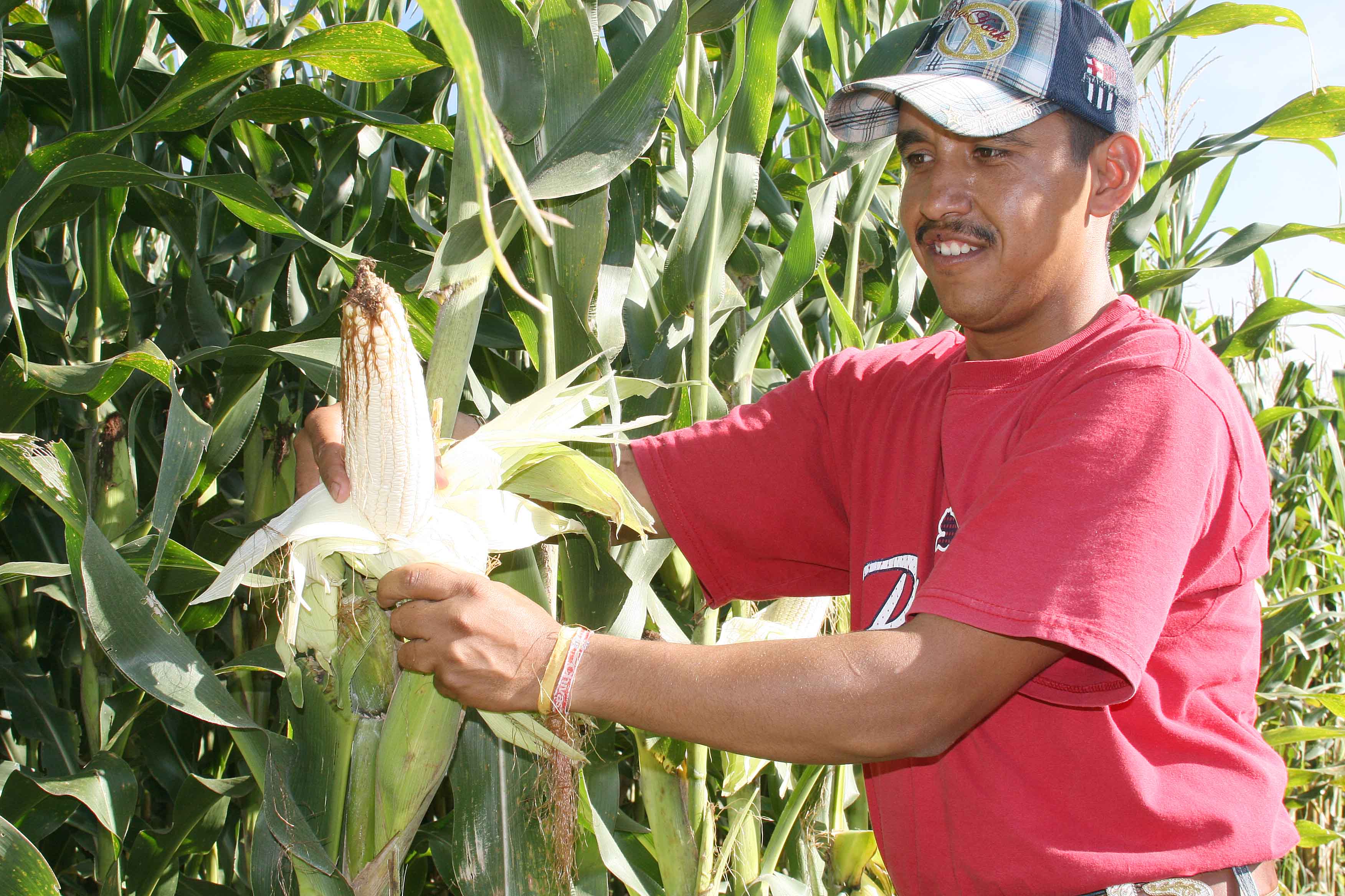 Innovación tecnológica en el agro de Jalisco Gobierno del Estado de Jalisco Innovación tecnológica en el agro de Jalisco Gobierno del Estado de Jalisco