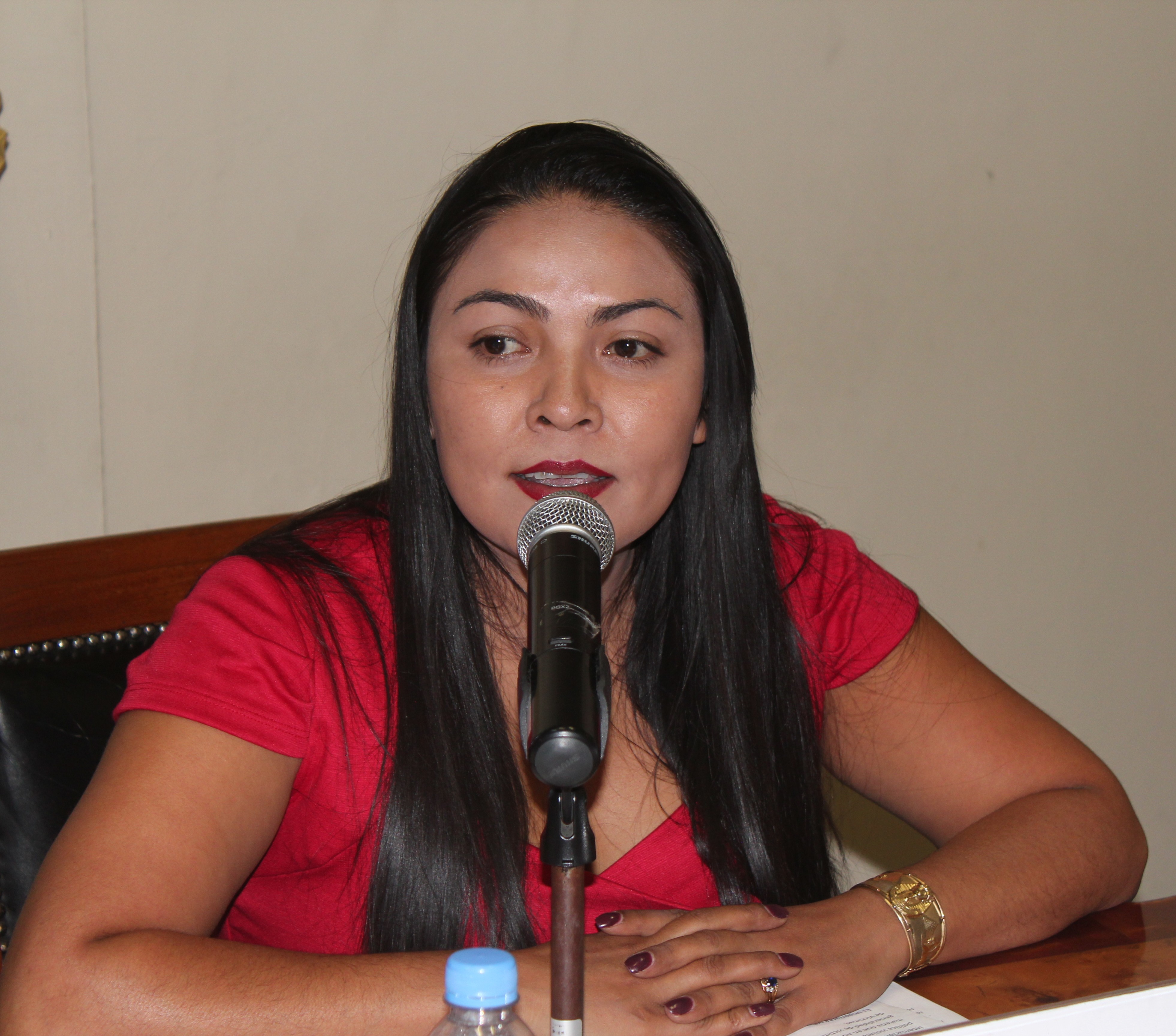  Comparece Lizzeth Hernández Navarro ante la Comisión de Derechos Humanos del Congreso del Estado