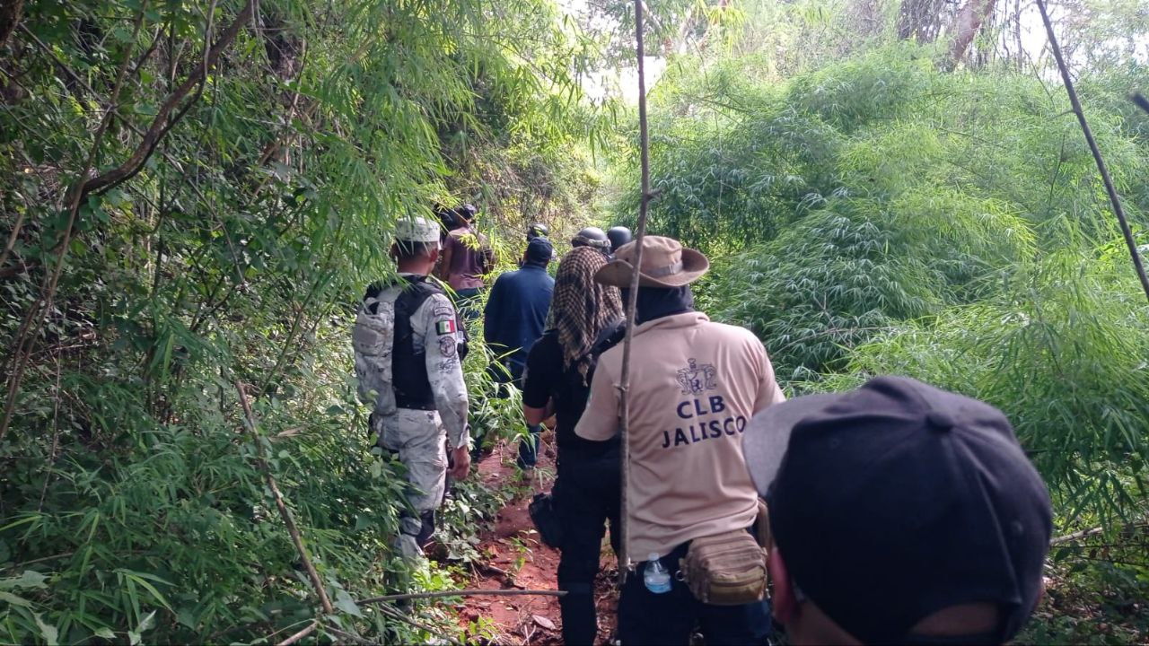 Concluye operativo de búsqueda generalizada en el municipio de Puerto Vallarta