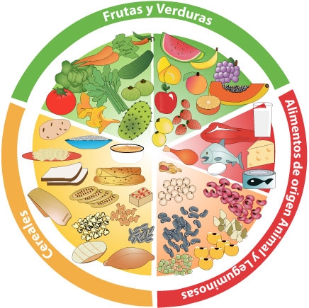 Plato Del Bien Comer Esquema Que Cumple Con La Norma En Materia