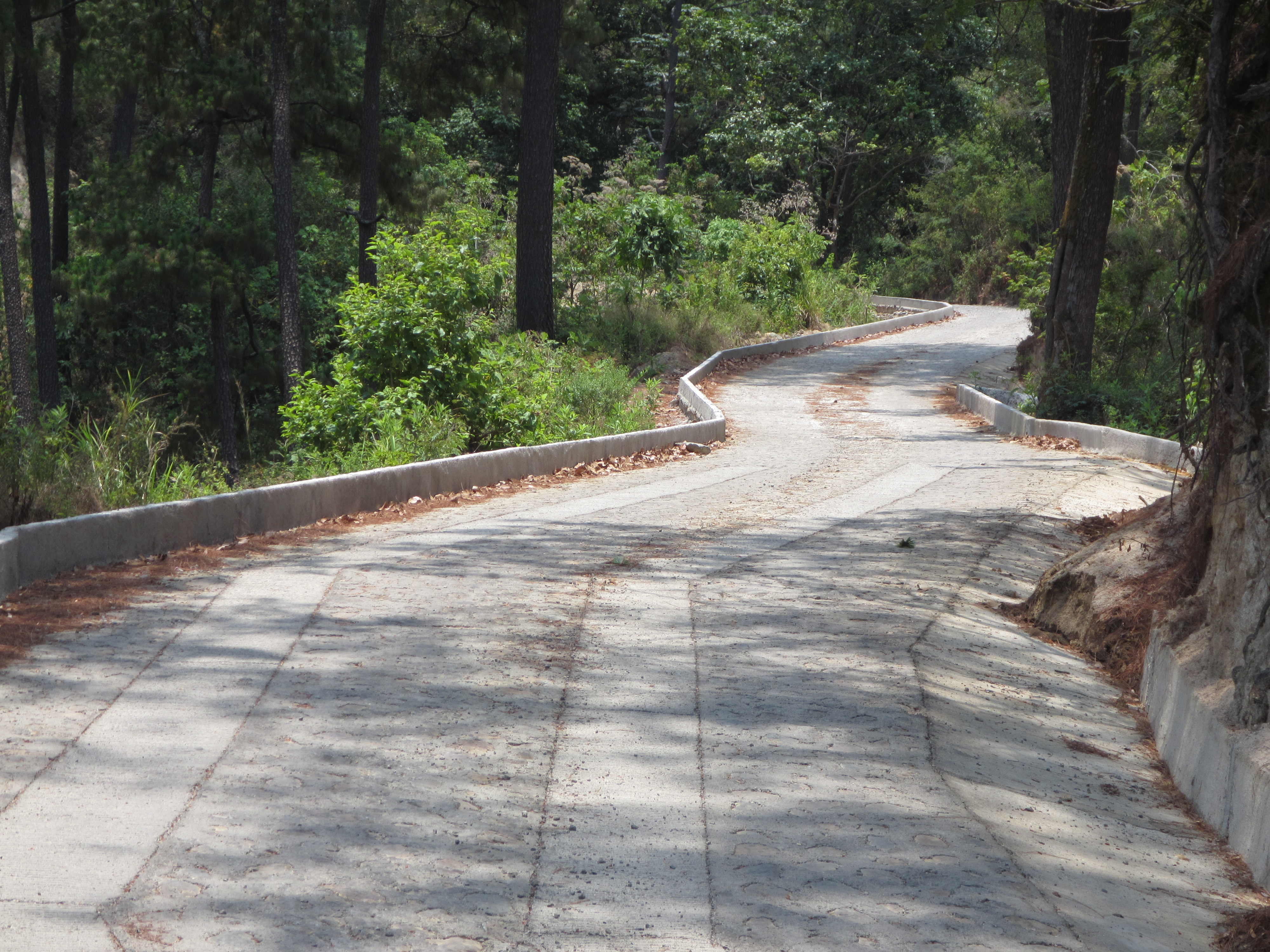 Rehabilita SIOP camino rural en La Cuesta en Talpa de Allende Gobierno del Estado de Jalisco