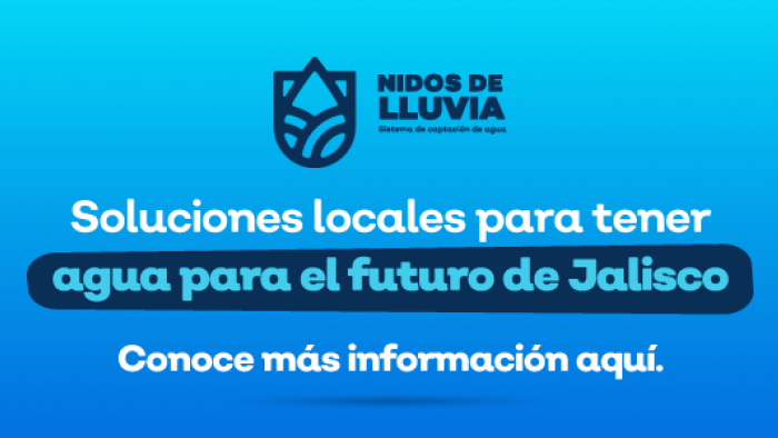 Imagen promocional de Nidos de Lluvia