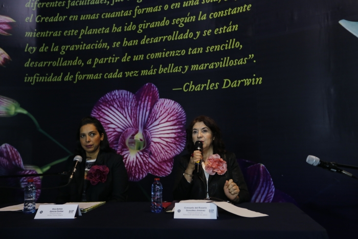 Darwin, la exposición