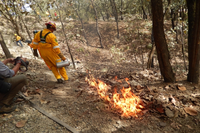 Imagen alusiva a la nota Capacita la SEMADET a brigadistas para combatir incendios forestales