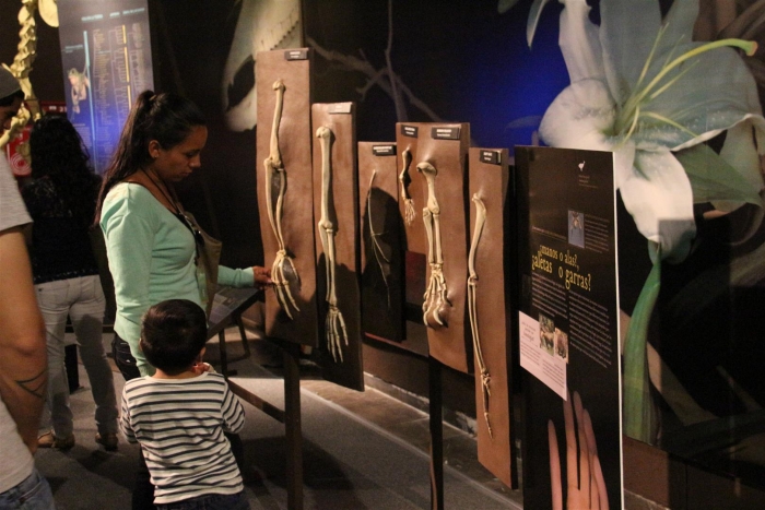 Darwin, la exposición