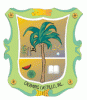 Escudo de Armas Municipal