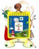 Escudo de Armas Municipal