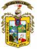 Escudo de Armas Municipal