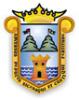 Escudo de Armas Municipal