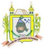 Escudo de Armas Municipal