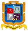 Escudo de Armas del Municipio de Yahualica de González Gallo